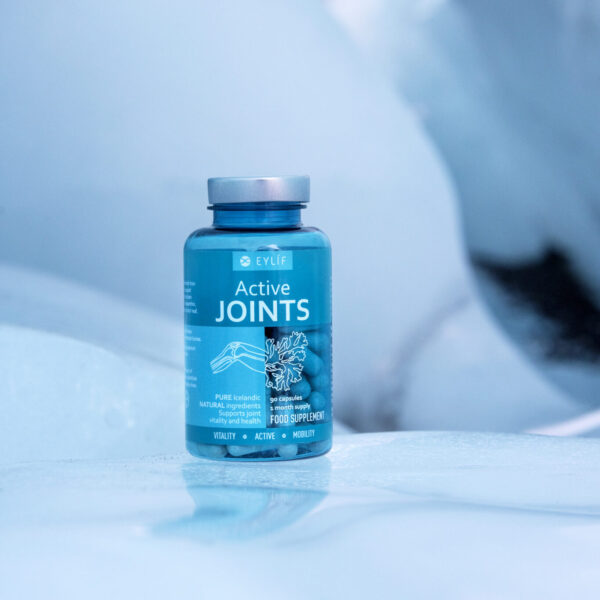 Active JOINTS in winter on ice að vetri
